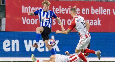 Ossenaren op bezoek in Eindhoven