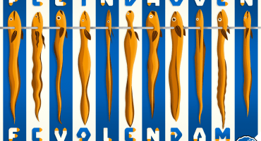 FC Eindontwerp 10: FC Eindontwerp – FC Volendam